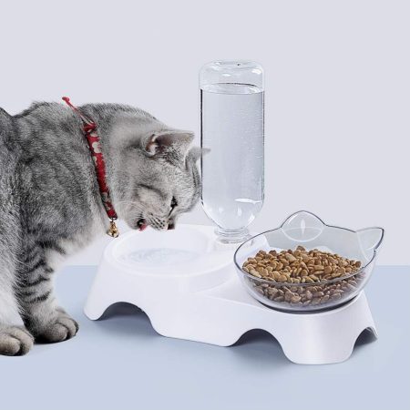 15-degree tilted pet food and water bowl set
