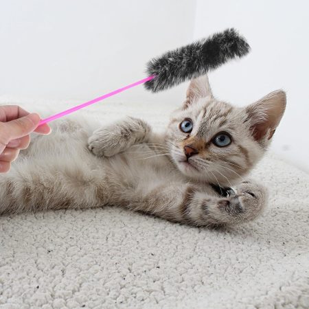 Plush cat wand toys (5-pack)