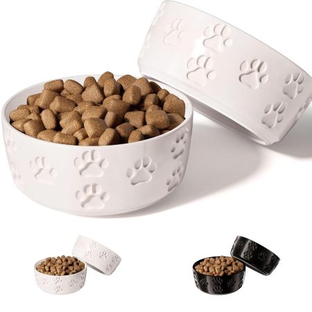 Ceramic food bowls for small dogs (2-pack)