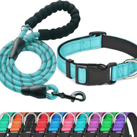 Rubber Reflective Collar and Leash Set