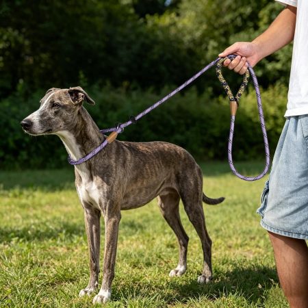 Reflective Slip Lead