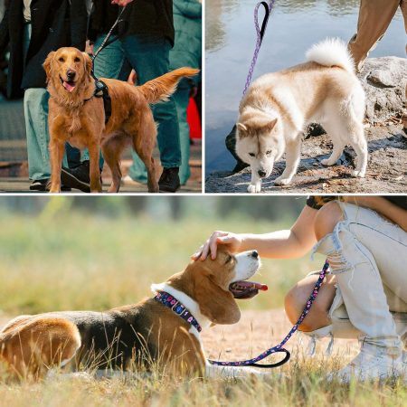Dual-Handle Pet Leash