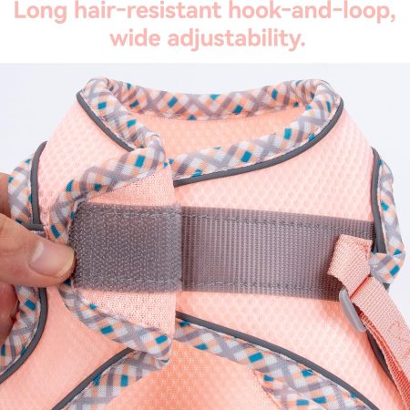 No-Pull Harness and Leash Set for Small Dogs